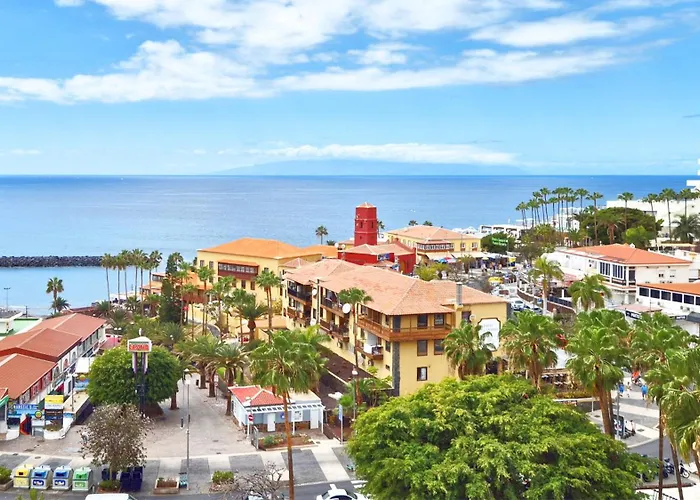 Bobo Tenerife Americas