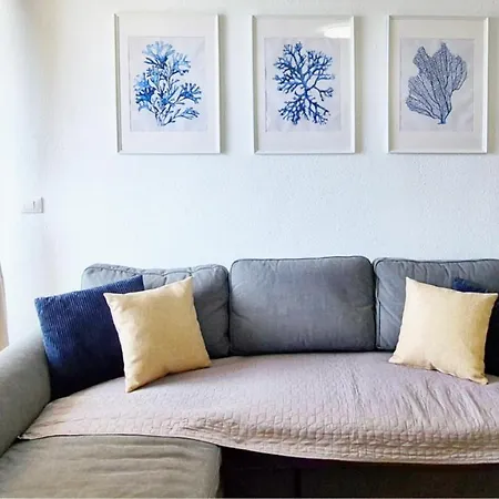 Bobo Tenerife Americas * Playa Fanabe